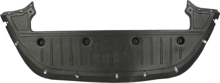 BLIC 6601-02-2583881P - Acoperire motor aaoparts.ro