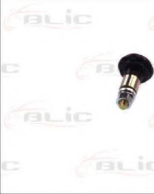 BLIC 6003-00-0068P - Ghidaj cu role, usa glisanta aaoparts.ro