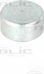 BLIC 6003-00-0005P - Ghidaj cu role, usa glisanta aaoparts.ro