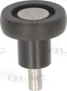 BLIC 6003-00-0185P - Ghidaj cu role, usa glisanta aaoparts.ro