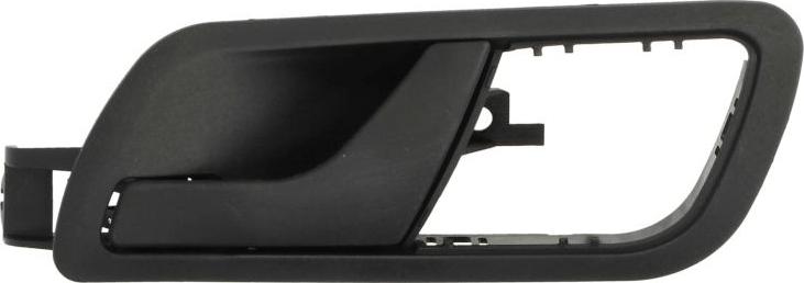 BLIC 6010-43-004409P - Maner usa aaoparts.ro