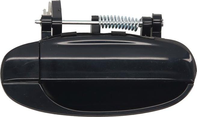 BLIC 6010-56-005404P - Maner usa aaoparts.ro