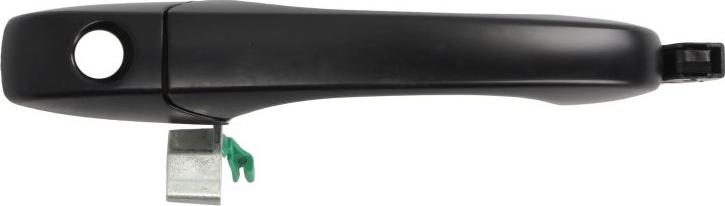 BLIC 6010-58-011401P - Maner usa aaoparts.ro