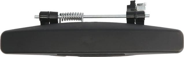 BLIC 6010-67-004401P - Maner usa aaoparts.ro