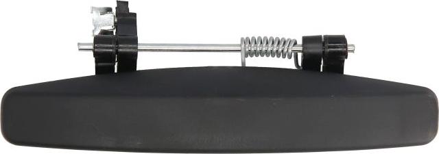 BLIC 6010-67-004402P - Maner usa aaoparts.ro