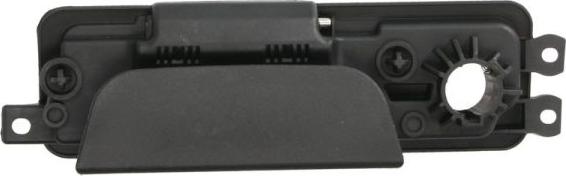 BLIC 6010-67-004417P - Maner usa aaoparts.ro