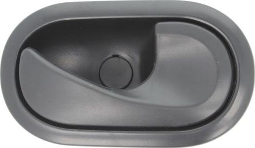 BLIC 6010-09-049408P - Maner usa aaoparts.ro