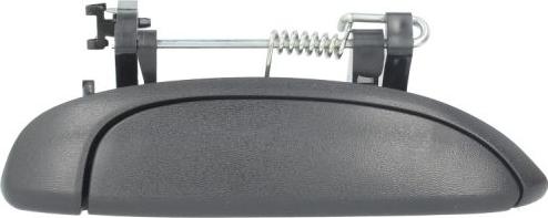 BLIC 6010-09-030402P - Maner usa aaoparts.ro