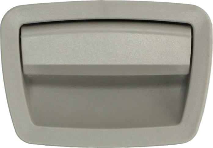 BLIC 6010-05-0102418GP - Incuietoare torpedou aaoparts.ro