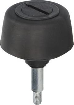 BLIC 6010-01-047433T - Fixare usa aaoparts.ro