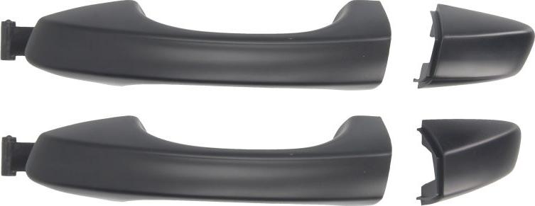 BLIC 6010-01-061401P - Maner usa aaoparts.ro