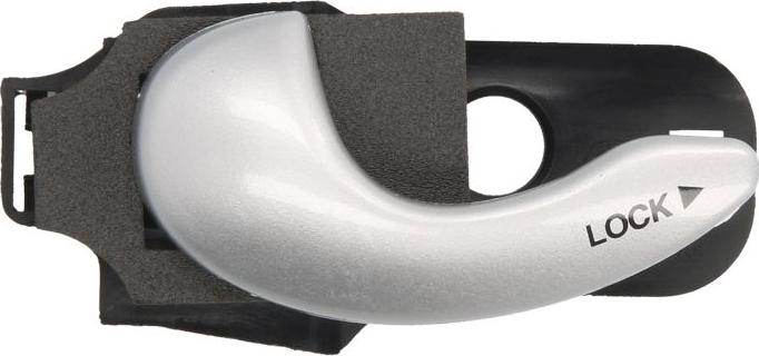 BLIC 6010-07-048409P - Maner usa aaoparts.ro