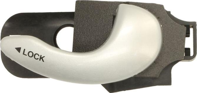 BLIC 6010-07-048408P - Maner usa aaoparts.ro