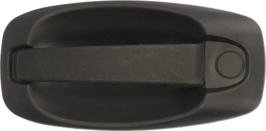 BLIC 6010-07-043402P - Maner usa aaoparts.ro