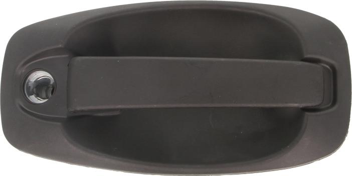 BLIC 6010-07-043417P - Maner usa aaoparts.ro