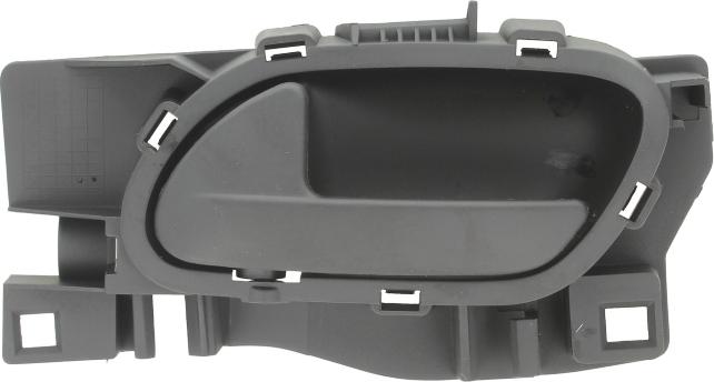 BLIC 6010-07-039409P - Maner usa aaoparts.ro