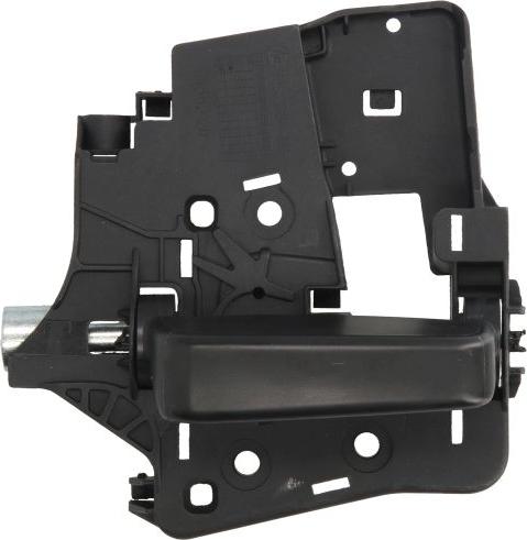 BLIC 6010-07-039417LWP - Maner usa aaoparts.ro