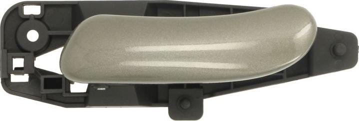 BLIC 6010-07-030409P - Maner usa aaoparts.ro