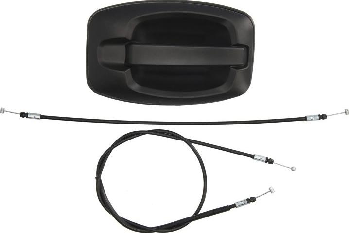 BLIC 6010-07-038410PP - Maner usa aaoparts.ro