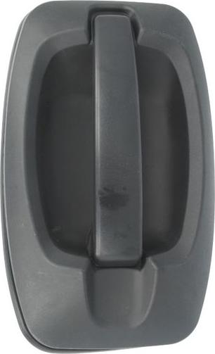 BLIC 6010-07-038410P - Maner usa aaoparts.ro