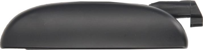 BLIC 6010-07-028401P - Maner usa aaoparts.ro