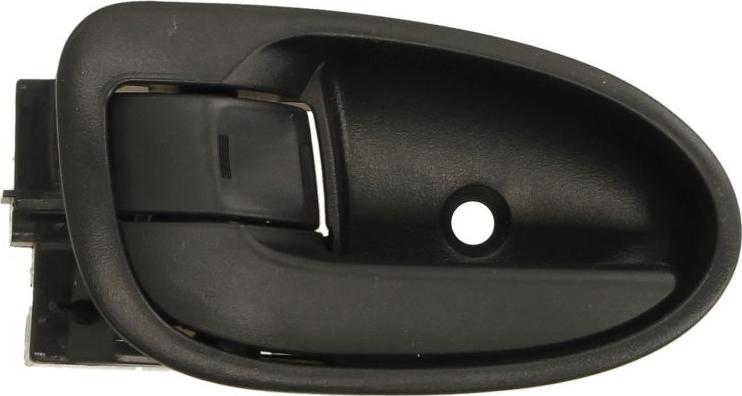 BLIC 6010-19-059409P - Maner usa aaoparts.ro