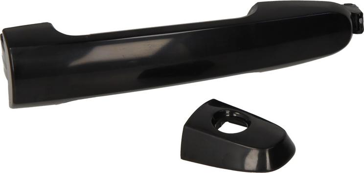 BLIC 6010-19-059401P - Maner usa aaoparts.ro