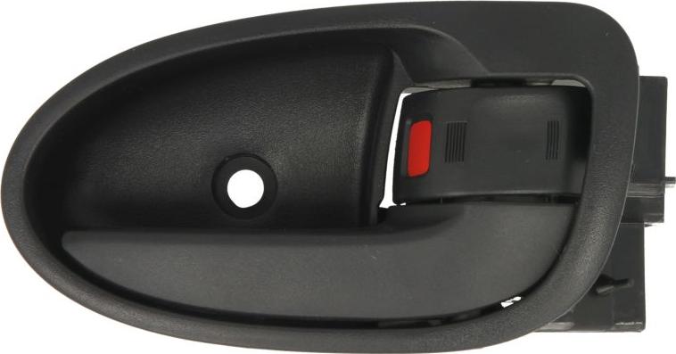 BLIC 6010-19-059408P - Maner usa aaoparts.ro