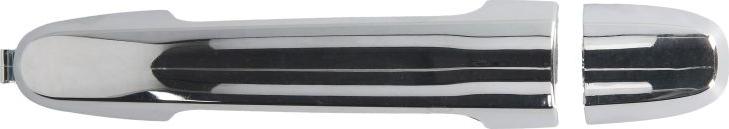 BLIC 6010-19-059402PP - Maner usa aaoparts.ro