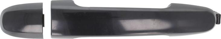 BLIC 6010-19-059402P - Maner usa aaoparts.ro