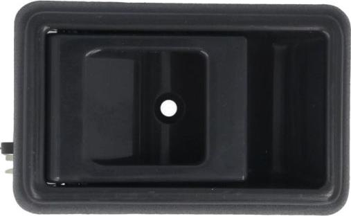 BLIC 6010-19-062408P - Maner usa aaoparts.ro