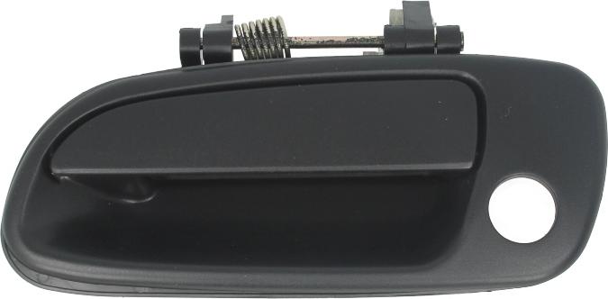 BLIC 6010-19-017401P - Maner usa aaoparts.ro