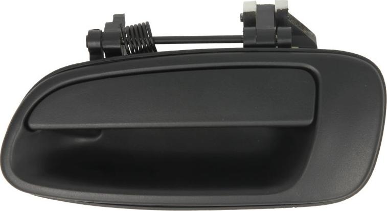 BLIC 6010-19-017403P - Maner usa aaoparts.ro