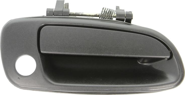 BLIC 6010-19-017402P - Maner usa aaoparts.ro