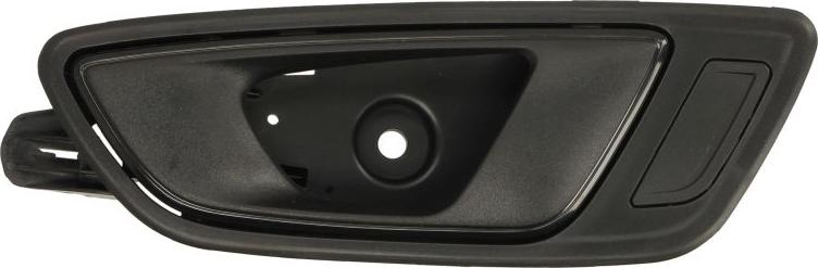 BLIC 6010-10-019409P - Maner usa aaoparts.ro