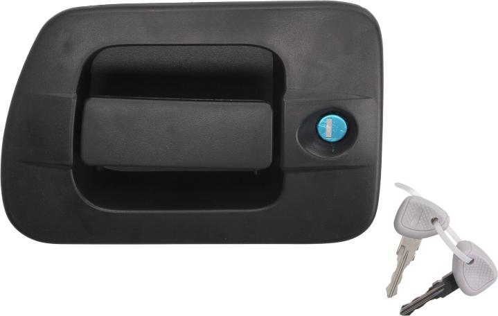 BLIC 6010-30-004401P - Maner usa aaoparts.ro