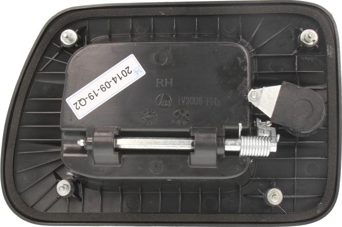 BLIC 6010-30-004402P - Maner usa aaoparts.ro