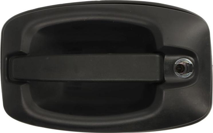 BLIC 6010-30-003401P - Maner usa aaoparts.ro