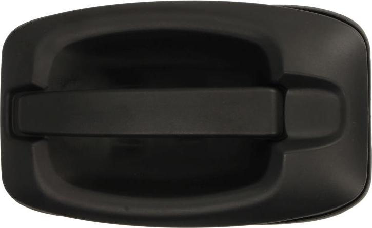 BLIC 6010-30-003402P - Maner usa aaoparts.ro