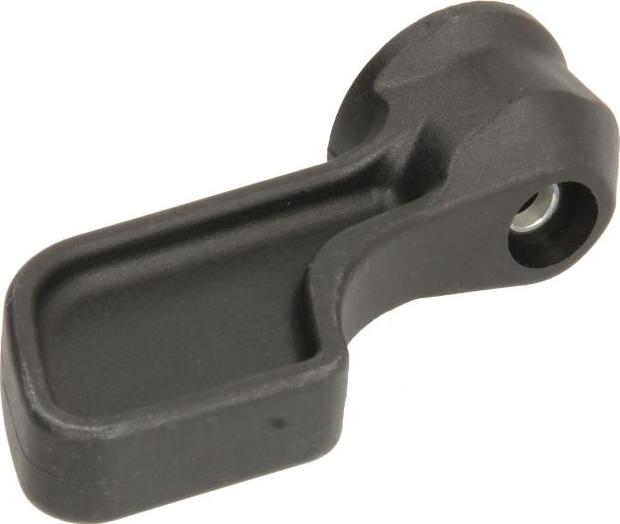 BLIC 6010-30-003419P - Maner usa aaoparts.ro