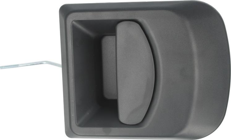 BLIC 6010-30-002401P - Maner usa aaoparts.ro