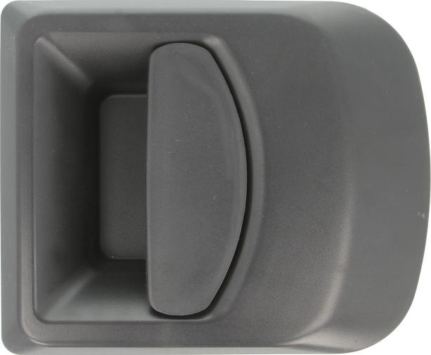 BLIC 6010-30-002402P - Maner usa aaoparts.ro