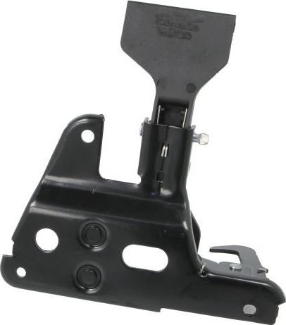 BLIC 6010-25-0050424P - Inchizator capota motor aaoparts.ro