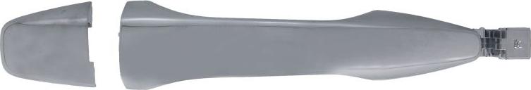 BLIC 6010-21-047402P - Maner usa aaoparts.ro