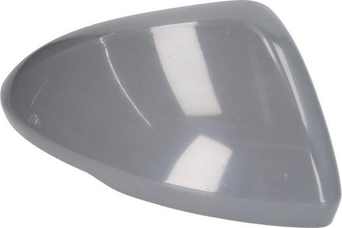 BLIC 6103-01-0405292P - Carcasa, oglinda exterioara aaoparts.ro