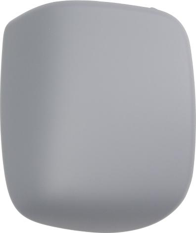 BLIC 6103-07-039353P - Carcasa, oglinda exterioara aaoparts.ro