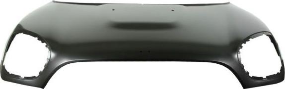 BLIC 6803-00-4004280P - Capota motor aaoparts.ro