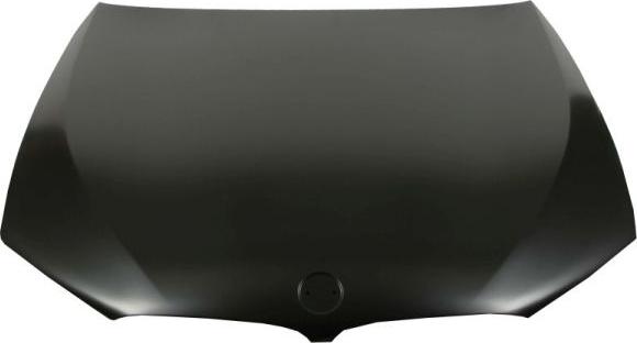 BLIC 6803-00-0068280P - Capota motor aaoparts.ro