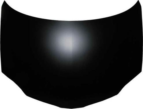 BLIC 6803-00-1670280P - Capota motor aaoparts.ro