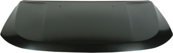 BLIC 6803-00-3217280P - Capota motor aaoparts.ro